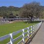 Windy Hill Ranch - El Campeon Farms