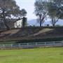 Windy Hill Ranch - El Campeon Farms