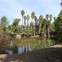 Los Angeles County Arboretum