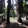 Los Angeles County Arboretum