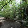 Los Angeles County Arboretum