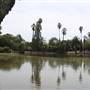 Los Angeles County Arboretum