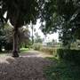 Los Angeles County Arboretum