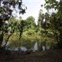 Los Angeles County Arboretum