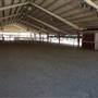 Kern County Fair - 15th DAA
