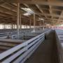 Kern County Fair - 15th DAA