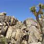 Desert View Conservation Area