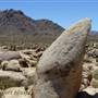 Desert View Conservation Area
