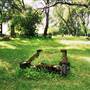 Gold Hill Cemetery