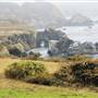 Grimes Ranch - Big Sur