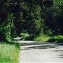 Iris Canyon Road