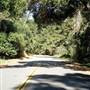 Jacks Peak Road / Jacks Peak Park