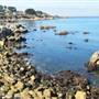 Pacific Grove