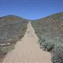 Sand City Beach / Eolian Dunes Preserve