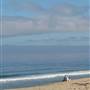 Sand City Beach / Eolian Dunes Preserve