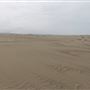 MacKerricher State Park (SP) - Inglenook Ten Mile Preserve - northern stretch - aka Ten Mile Dunes