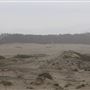 MacKerricher State Park (SP) - Inglenook Ten Mile Preserve - northern stretch - aka Ten Mile Dunes
