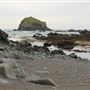 Van Damme State Park (SP) / Beach / Pygmy Forest / Fern Canyon Trail / Spring Ranch Trail