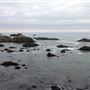 Westport Headlands