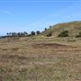 Navarro Point Preserve and Coastal Trail