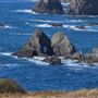 Navarro Point Preserve and Coastal Trail