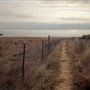 Newport Coastal Trail
