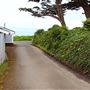 Agate Cove Inn
