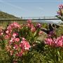 Shasta County Roads & Bridges