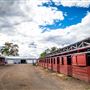 Shasta County Entertainment & Attractions