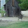 Shasta County Towns & Cities