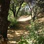 Shasta County Natural Landscapes & Parks