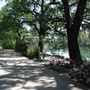 Shasta County Natural Landscapes & Parks