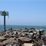 Noyo Harbor / Noyo Harbor Village / Noyo Harbor Drive