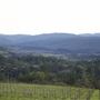 Anderson Valley Region - Mendocino County