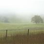 Anderson Valley Region - Mendocino County