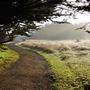 Mendocino Coast Botanical Gardens