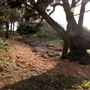 Mendocino Bay Overlook (Public Access Easement)