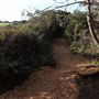 Mendocino Bay Overlook (Public Access Easement)