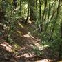 Faulkner County Park
