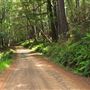 Peachland Road
