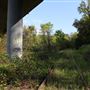Russian River Bridge / Mendocino County / Bridge 10-82