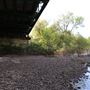 Russian River Bridge / Mendocino County / Bridge 10-82