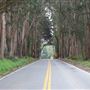 Highway 1 - North Coast corridor