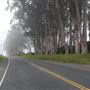 Highway 1 - Central Coast corridor