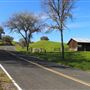 Mountain House Road