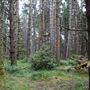 Jug Handle State Natural Reserve (SNR)