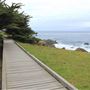 Boardwalk at Laguna Point @ (MacKerricher State Park)