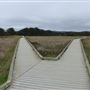 Boardwalk at Laguna Point @ (MacKerricher State Park)