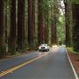 Navarro River Redwoods State Park (SP)