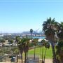 Ocean View Apartments